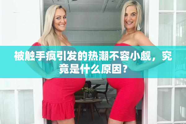 被触手疯引发的热潮不容小觑，究竟是什么原因？
