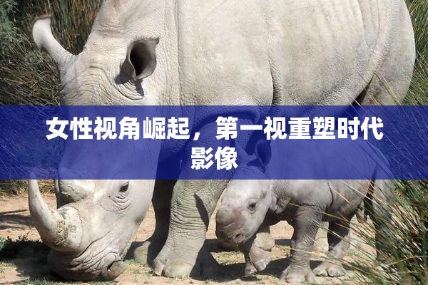 女性视角崛起，第一视重塑时代影像