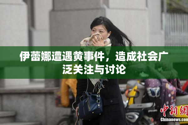 伊蕾娜遭遇黄事件，造成社会广泛关注与讨论
