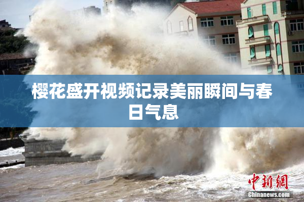 樱花盛开视频记录美丽瞬间与春日气息