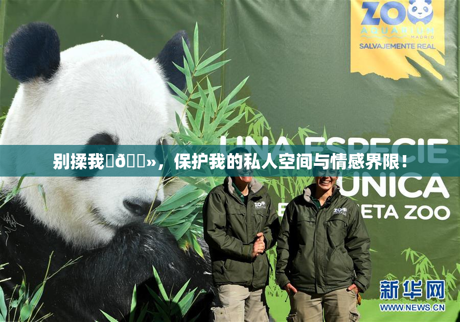 别揉我‌🐻，保护我的私人空间与情感界限！