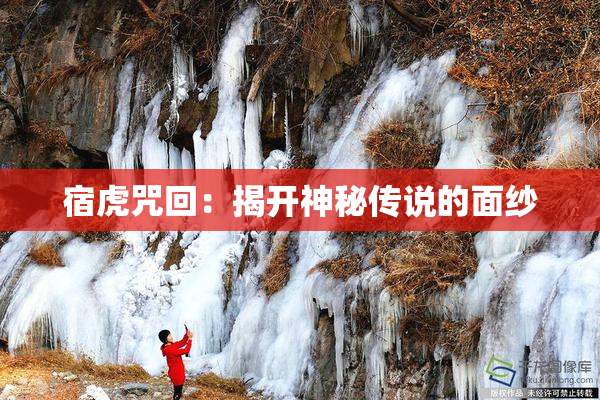 宿虎咒回：揭开神秘传说的面纱