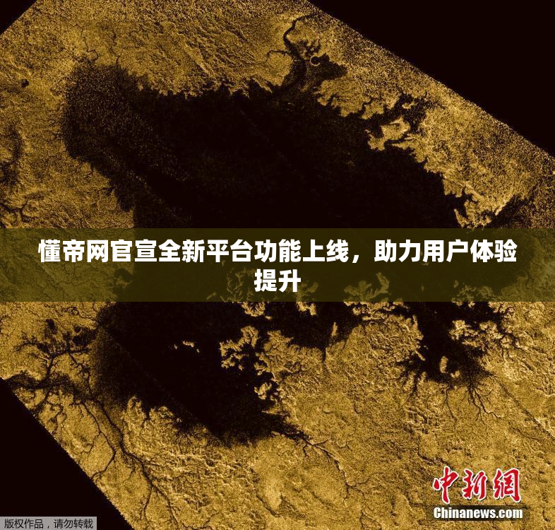 懂帝网官宣全新平台功能上线，助力用户体验提升