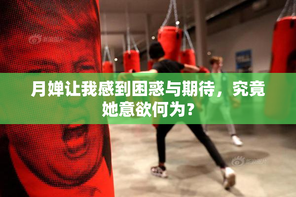 月婵让我感到困惑与期待，究竟她意欲何为？