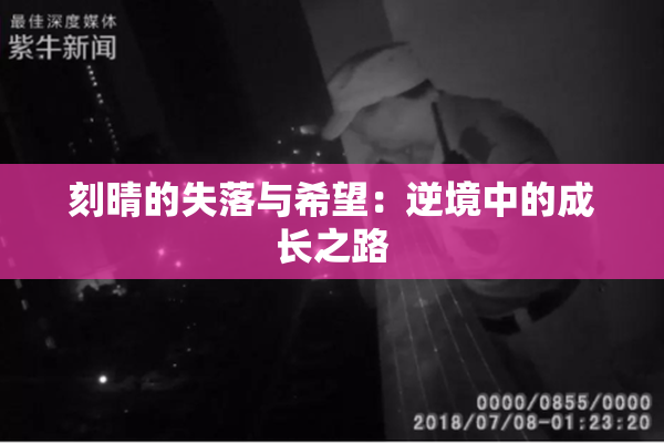 刻晴的失落与希望：逆境中的成长之路