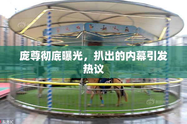 庞尊彻底曝光，扒出的内幕引发热议