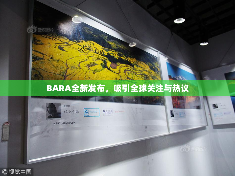 BARA全新发布，吸引全球关注与热议