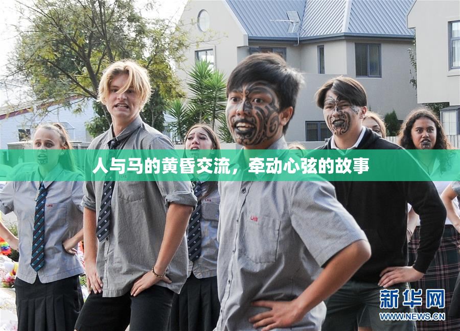 人与马的黄昏交流，牵动心弦的故事