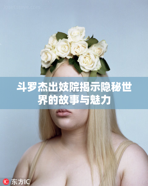 斗罗杰出妓院揭示隐秘世界的故事与魅力