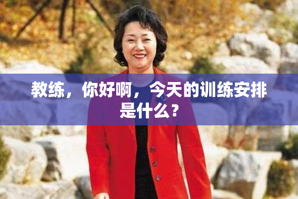 教练，你好啊，今天的训练安排是什么？