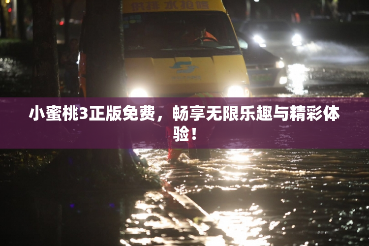 小蜜桃3正版免费，畅享无限乐趣与精彩体验！