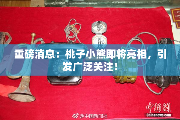 重磅消息：桃子小熊即将亮相，引发广泛关注！