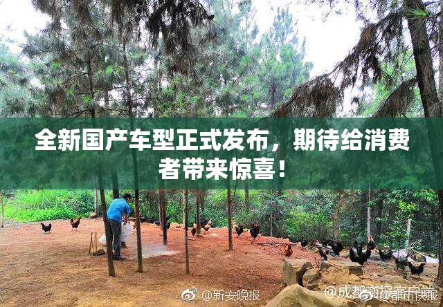 全新国产车型正式发布，期待给消费者带来惊喜！