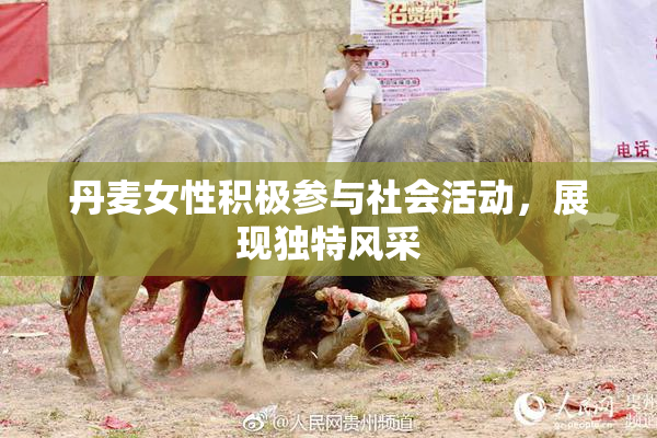 丹麦女性积极参与社会活动，展现独特风采