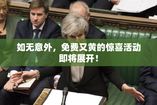如无意外，免费又黄的惊喜活动即将展开！