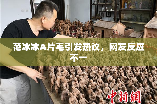 范冰冰A片毛引发热议，网友反应不一