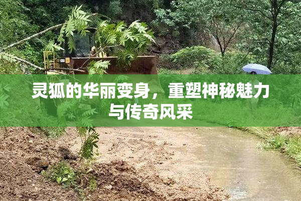 灵狐的华丽变身，重塑神秘魅力与传奇风采