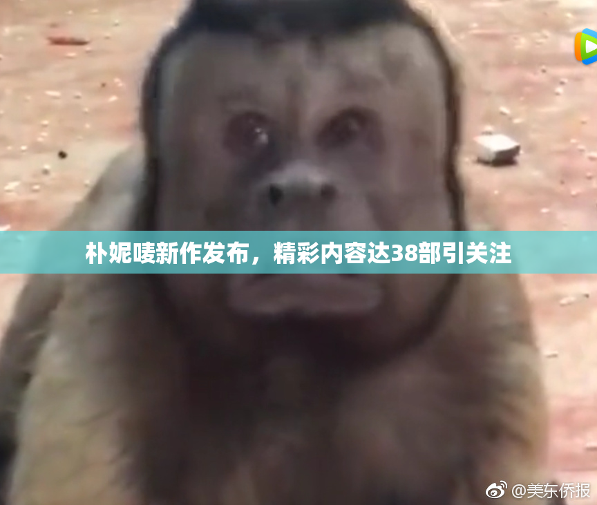 朴妮唛新作发布，精彩内容达38部引关注