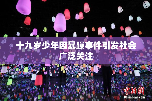 十九岁少年因暴躁事件引发社会广泛关注
