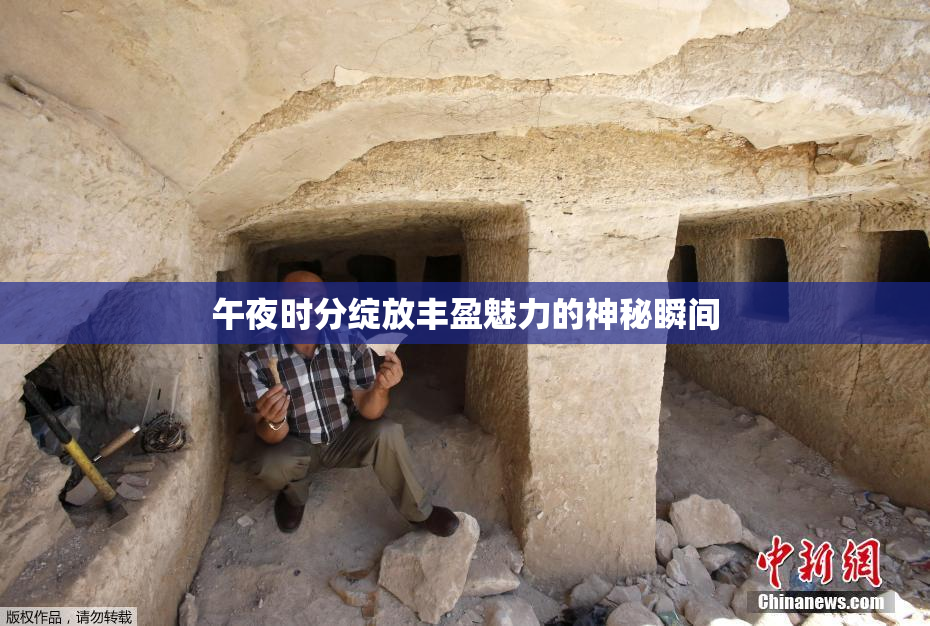 午夜时分绽放丰盈魅力的神秘瞬间