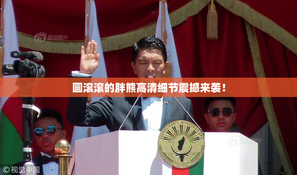 圆滚滚的胖熊高清细节震撼来袭！