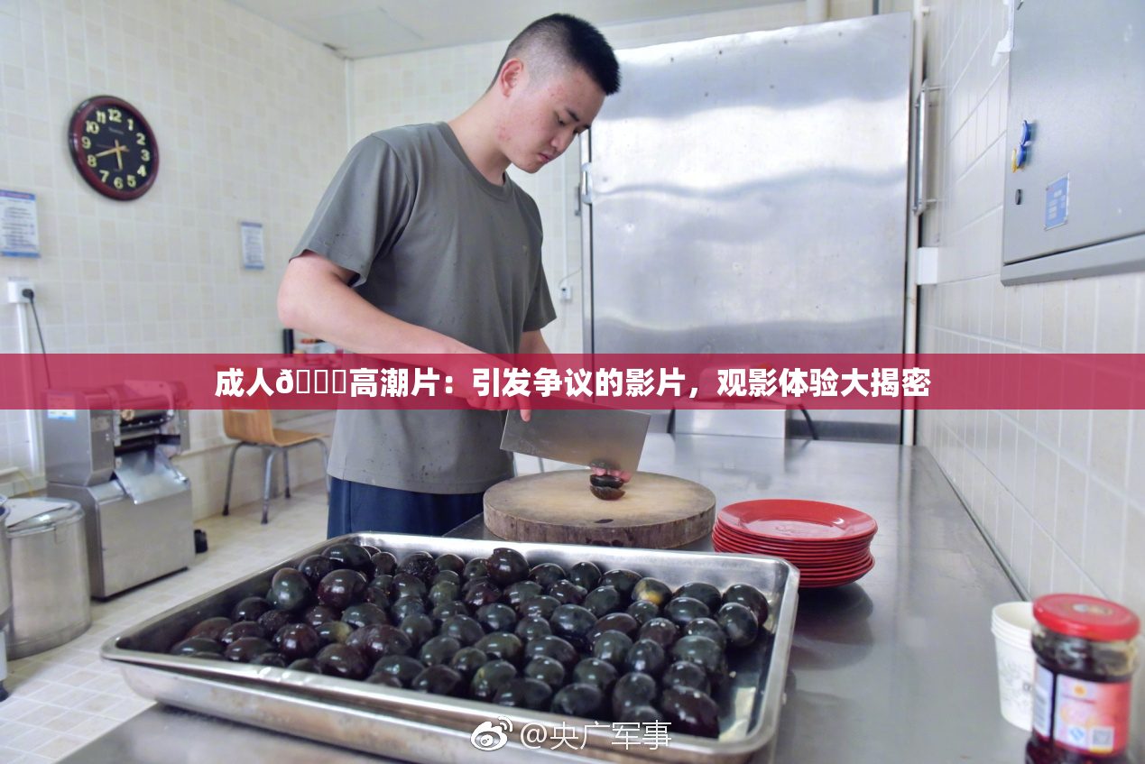 成人🔞高潮片：引发争议的影片，观影体验大揭密