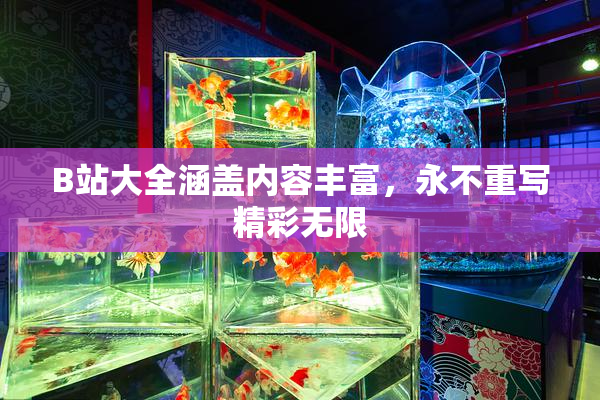 B站大全涵盖内容丰富，永不重写精彩无限
