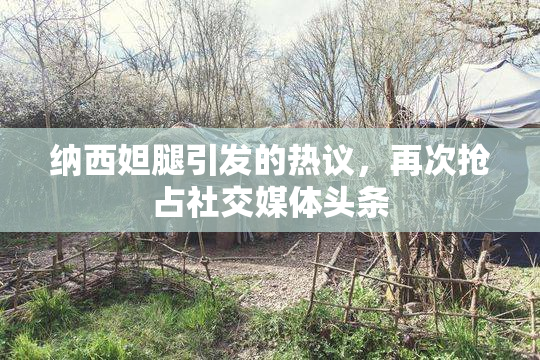 纳西妲腿引发的热议，再次抢占社交媒体头条