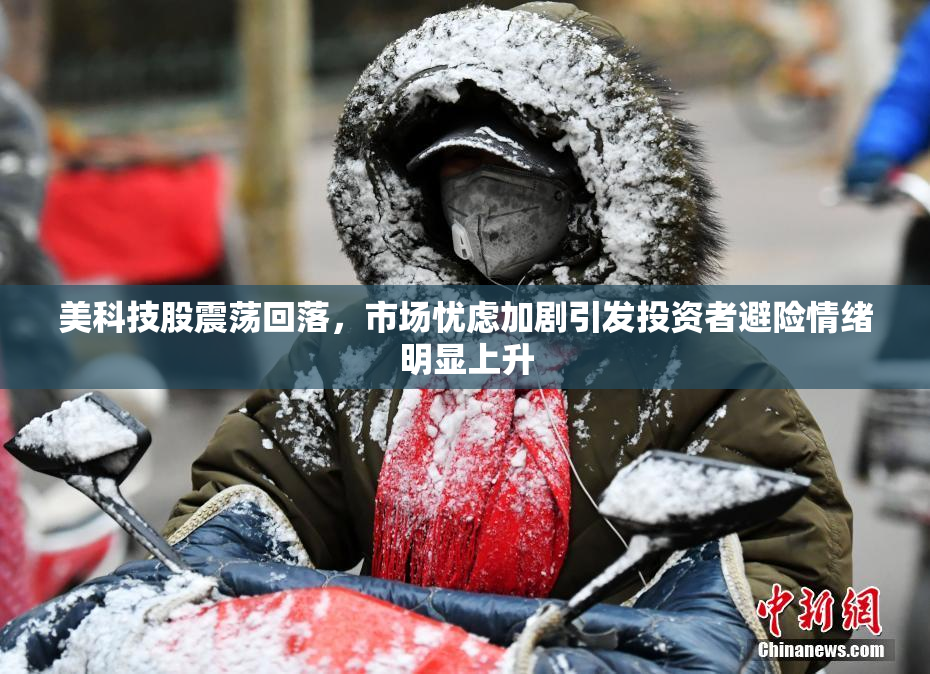 美科技股震荡回落，市场忧虑加剧引发投资者避险情绪明显上升