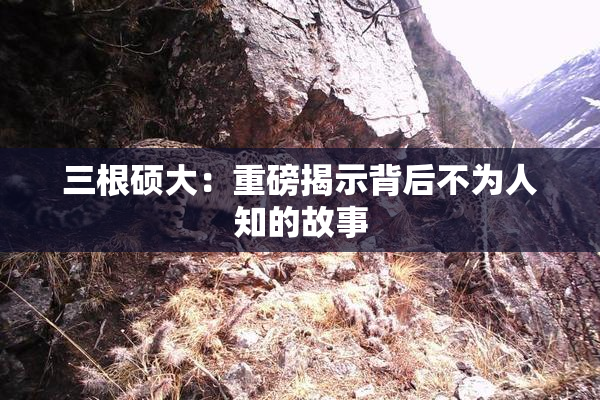 三根硕大：重磅揭示背后不为人知的故事