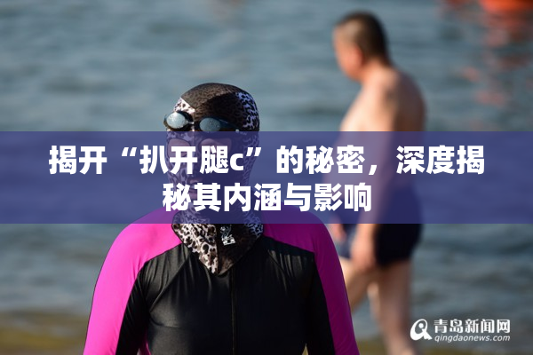 揭开“扒开腿c”的秘密，深度揭秘其内涵与影响