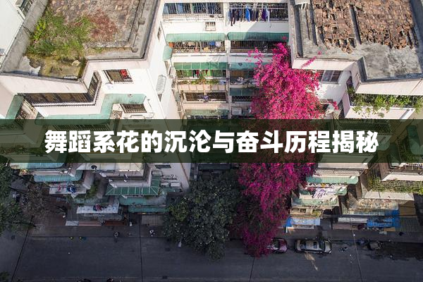 舞蹈系花的沉沦与奋斗历程揭秘
