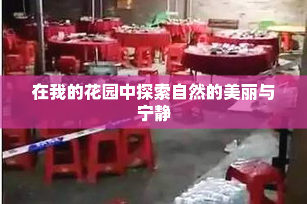 在我的花园中探索自然的美丽与宁静