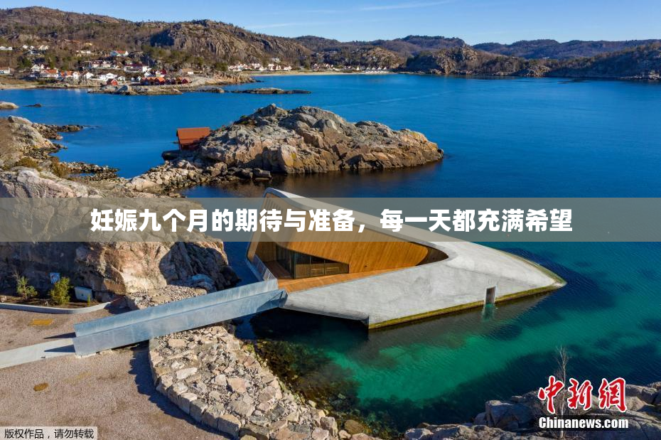 妊娠九个月的期待与准备，每一天都充满希望