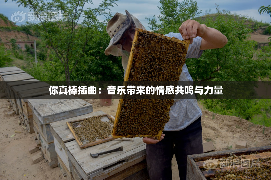 你真棒插曲：音乐带来的情感共鸣与力量