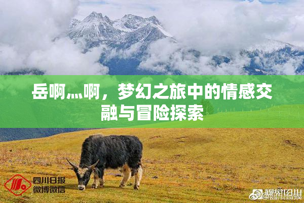 岳啊灬啊，梦幻之旅中的情感交融与冒险探索