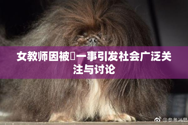 女教师因被婬一事引发社会广泛关注与讨论