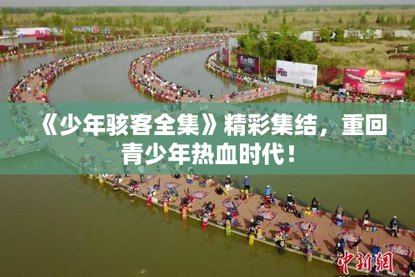 《少年骇客全集》精彩集结，重回青少年热血时代！