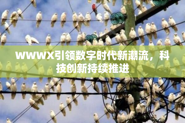 WWWX引领数字时代新潮流，科技创新持续推进