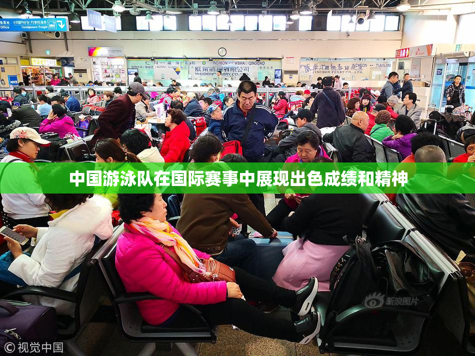 中国游泳队在国际赛事中展现出色成绩和精神