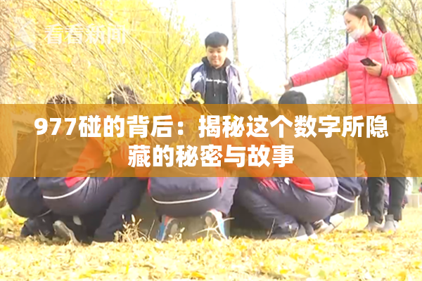 977碰的背后：揭秘这个数字所隐藏的秘密与故事