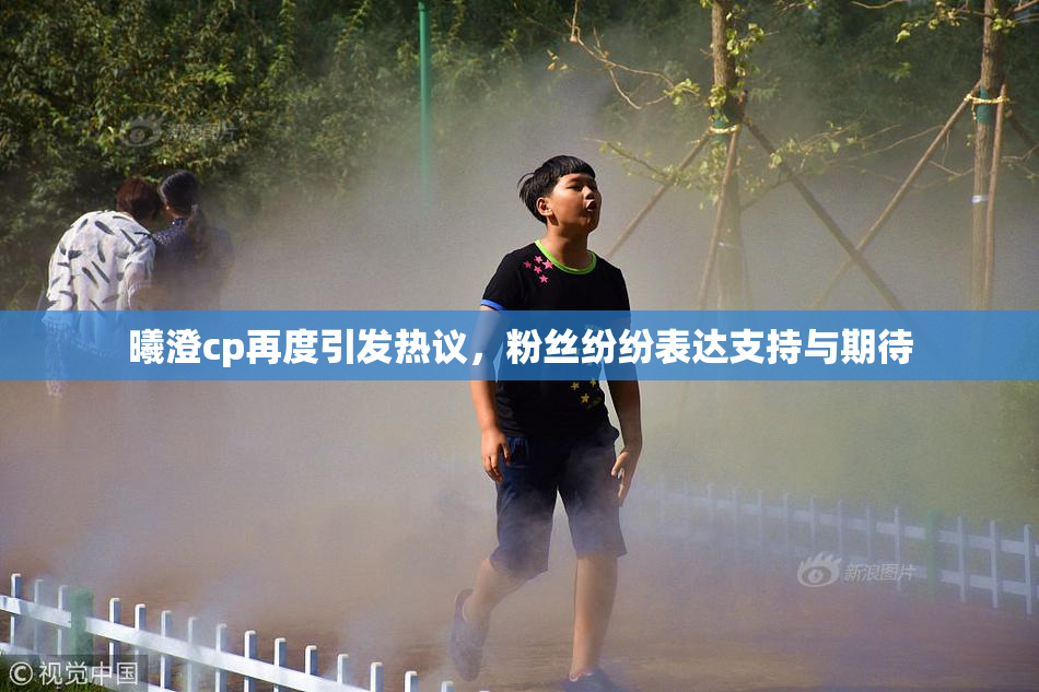 曦澄cp再度引发热议，粉丝纷纷表达支持与期待