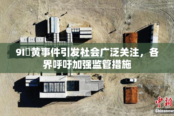 9I婬黄事件引发社会广泛关注，各界呼吁加强监管措施