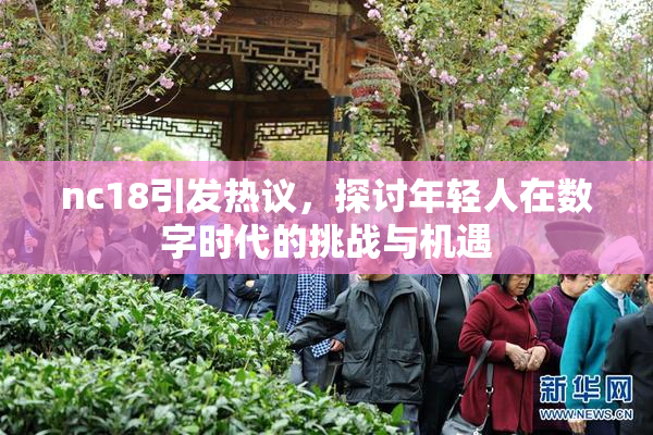 nc18引发热议，探讨年轻人在数字时代的挑战与机遇