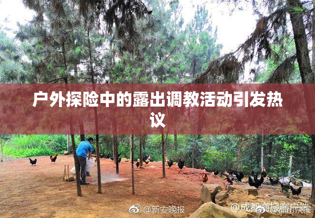 户外探险中的露出调教活动引发热议
