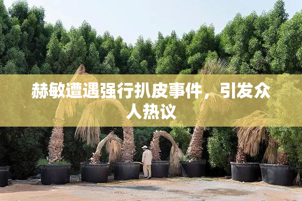 赫敏遭遇强行扒皮事件，引发众人热议