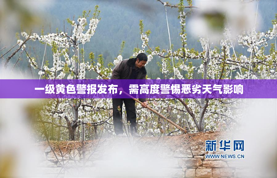 一级黄色警报发布，需高度警惕恶劣天气影响