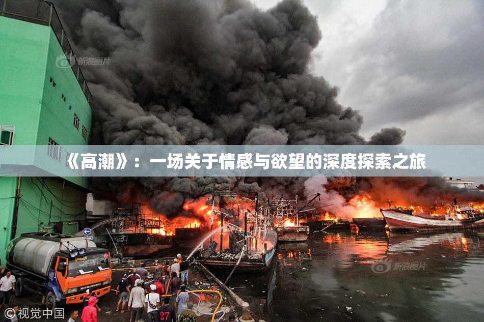 《高潮》：一场关于情感与欲望的深度探索之旅