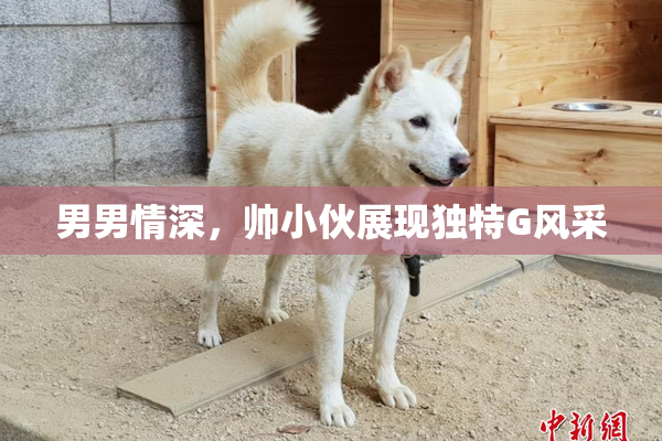 男男情深，帅小伙展现独特G风采