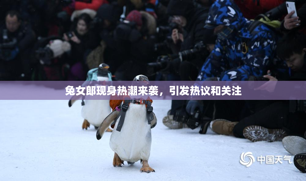 兔女郎现身热潮来袭，引发热议和关注